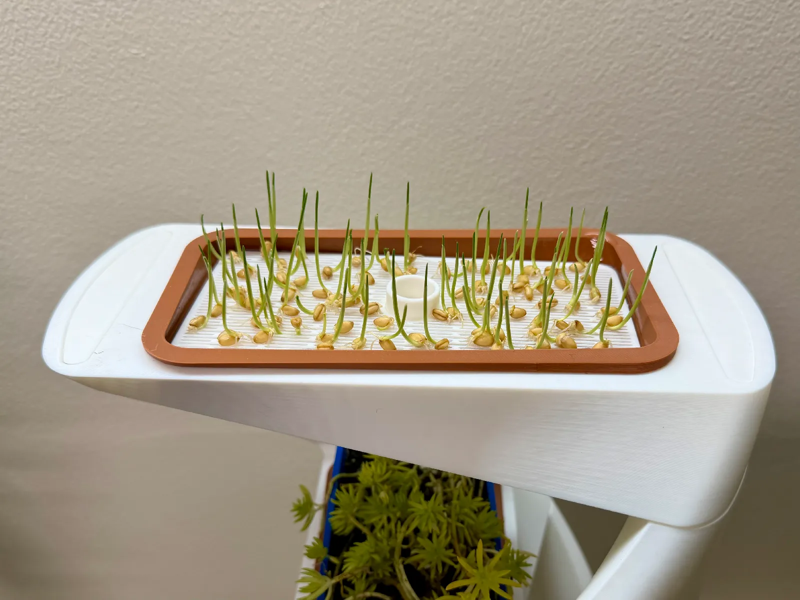 DNA植物种植塔 | 模块化微型菜园花盆